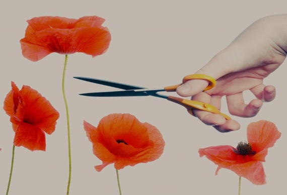 Yard Act – The Overload [Tall poppies] Yard Act – The Overload – Vinyl (Red & Black [Tall Poppies